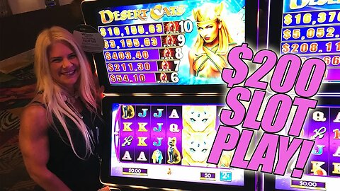 😻Desert Cats BONUS ROUND!! 😻$200 Slot Play with Cheryl 💸 Slot Ladies