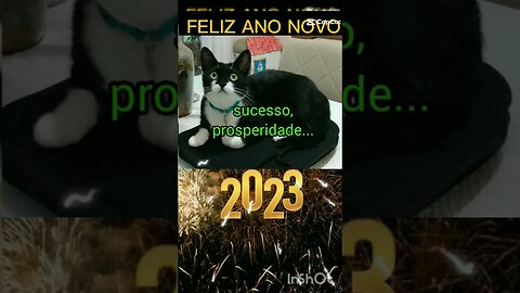 Feliz ano novo Gato Bartolomeu Tunico