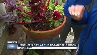 Green Bay Botanical Gardens shows us how to pot a plant for mom