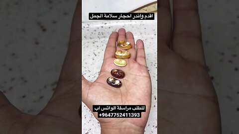 سليماني سلامة الجمل