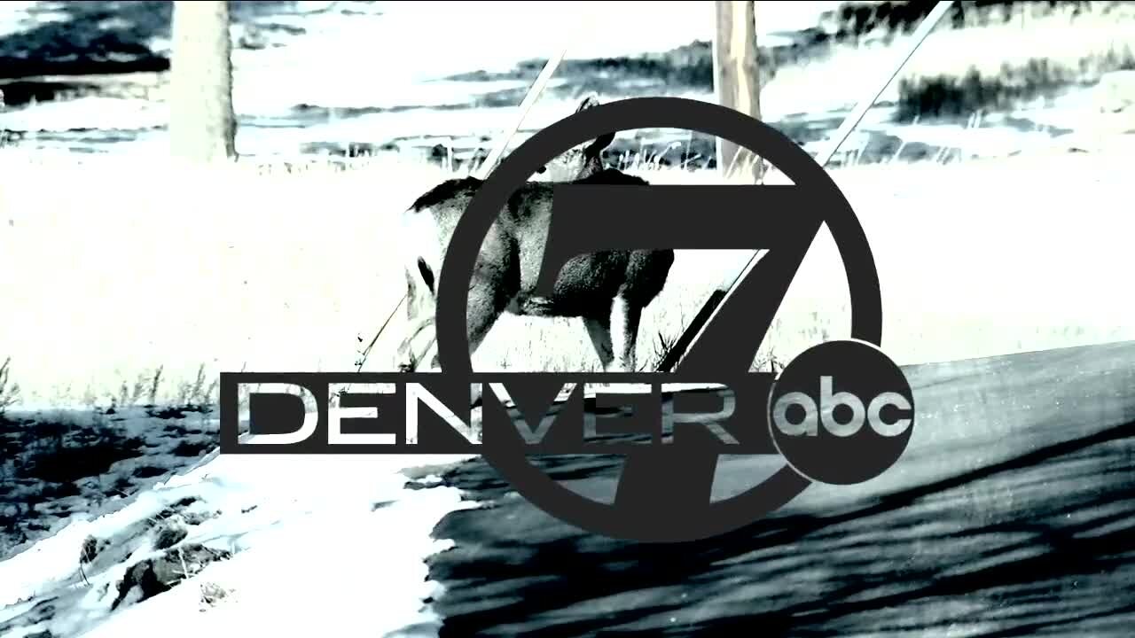 Denver7 News 6 PM | Thursday, February 4