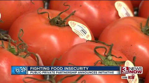 Food security plan launched by metro coalition