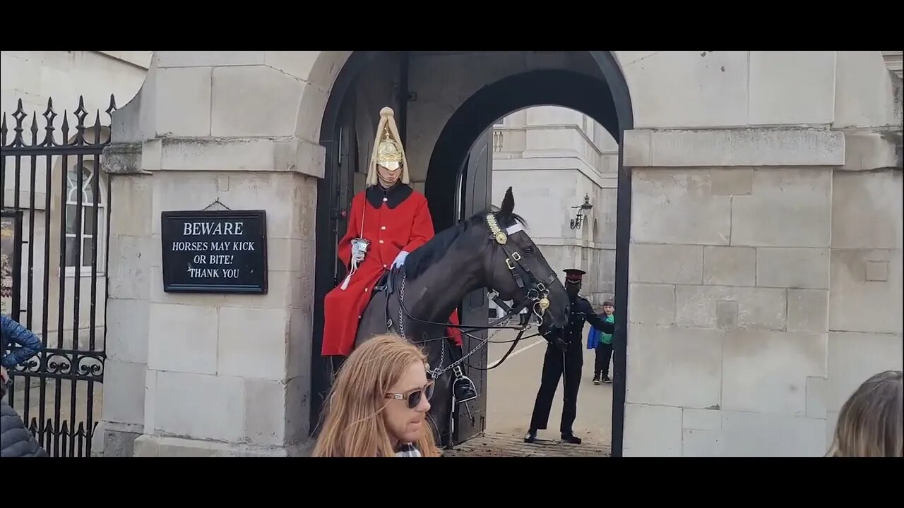 Horse freaks out Ukraine 🇺🇦 protest #horseguardsparade