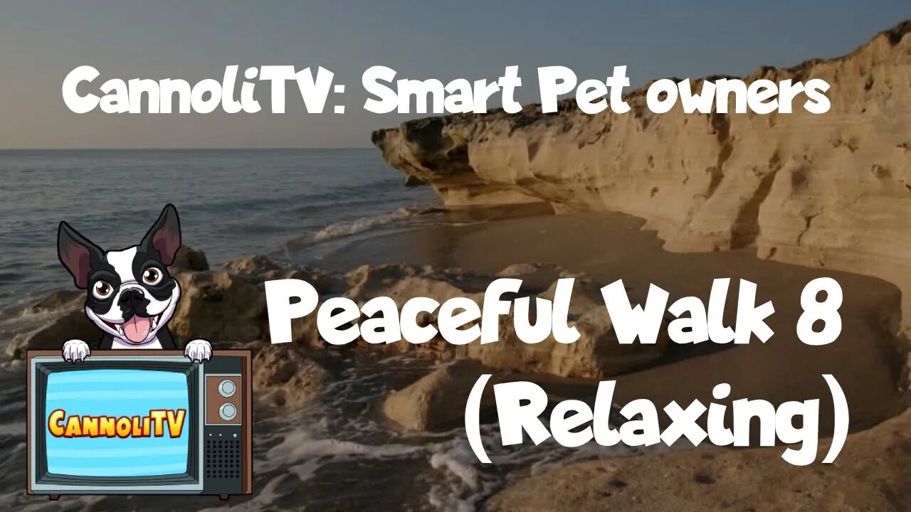 CannoliTV Video Library: Peaceful Dog Walk Along The Beach - 08