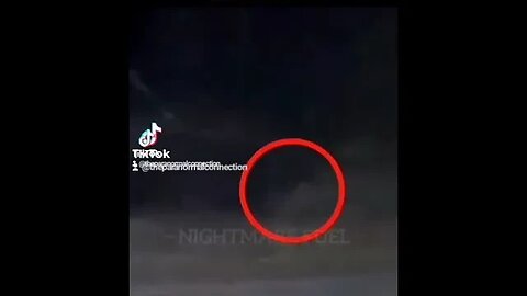 Stalked by The Dog Man