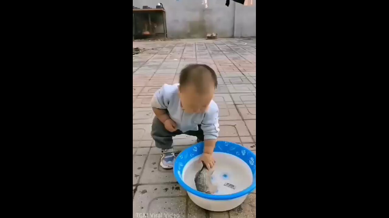 cute baby playing with fish