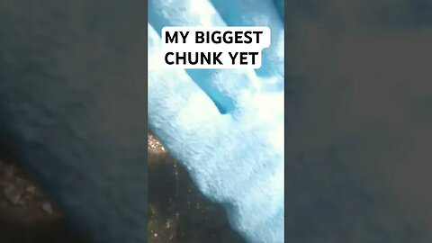 💥 MY RECORD BREAKING CHUNK OF GOLD 💥 #shorts #gold #goldmining #goldrush #goldprospecting