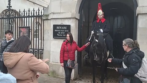 Horse scare 😱 tourist rubbing its head on her arm #thekingsguard