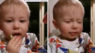 Baby Tries Eating Lemon, Has The Most Priceless Reaction