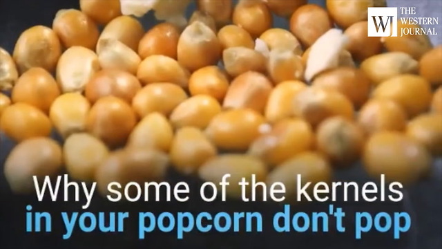 Ever Wonder Why Some of Your Popcorn Kernels Don't Pop? Here's the Scoop. (C)