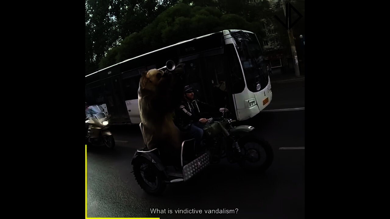 Meanwhile in RUSSIA 😂