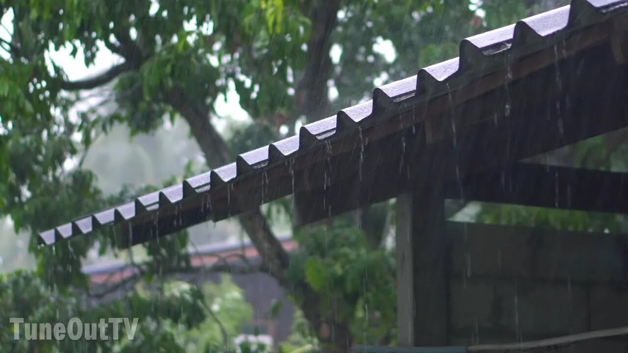 Heavy Rain On Metallic Roof In The Jungle White Noise | ASMR | Rain / Weather Ambience