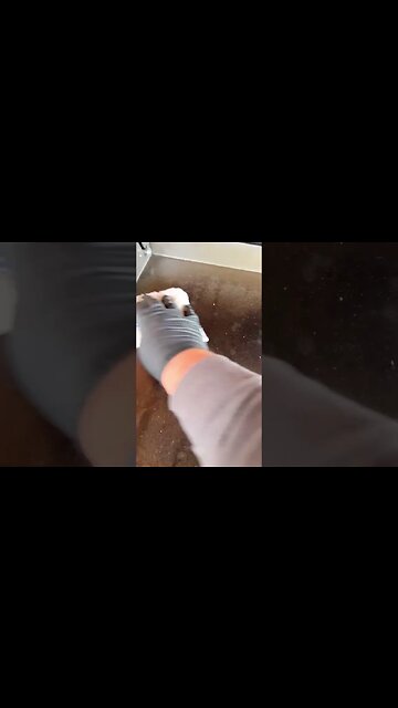 How to season a Blackstone Griddle