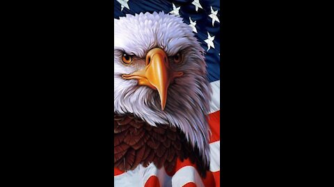 5. Being an Eagle--Where is the Classic Liberal? They could have the power to stop a Civil War (In Depth)