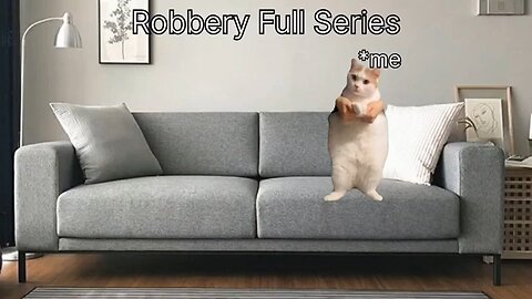 robbery cat funny