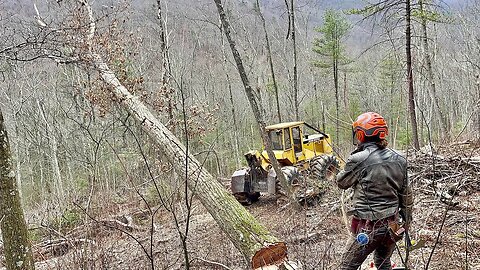 Logging Conditions in Pa Forests