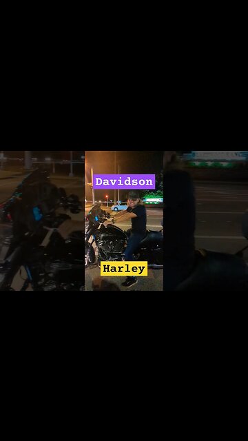 Harley Davidsons Best Colors 🤣🤣🤣 #harleydavidson #motorcycle #motorcycles