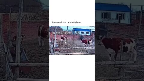 Bruh said this ain’t my place to be! #shorts #viral #shortvideo #subscribe #reels #funny #lol #farm