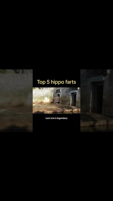 Top 5 hippo farts guys 🫡 rate them ! #hippo #fart #TheFartFiles