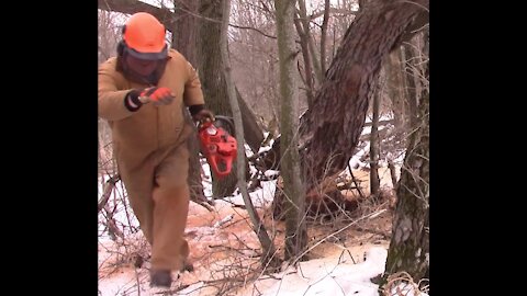 Old Man Being Chased By A Tree :) ( From YouTube "Autotunes" Video )