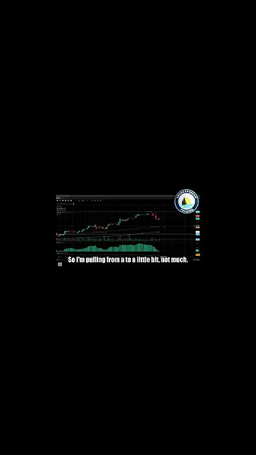 The Path To Wealth - VIP Member's Incredible Day Trading Success With +16% Account Profit