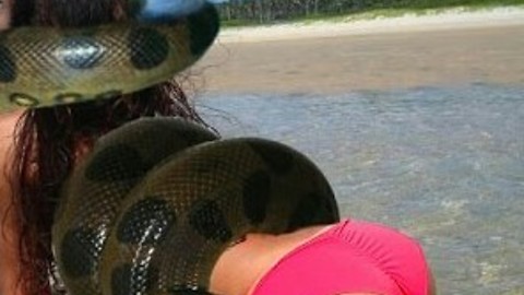 Big Anaconda Attacks on girl