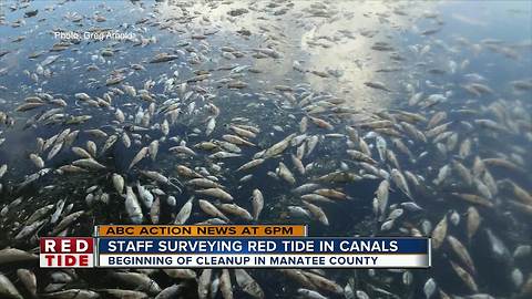 Manatee County plan for red tide clean-up