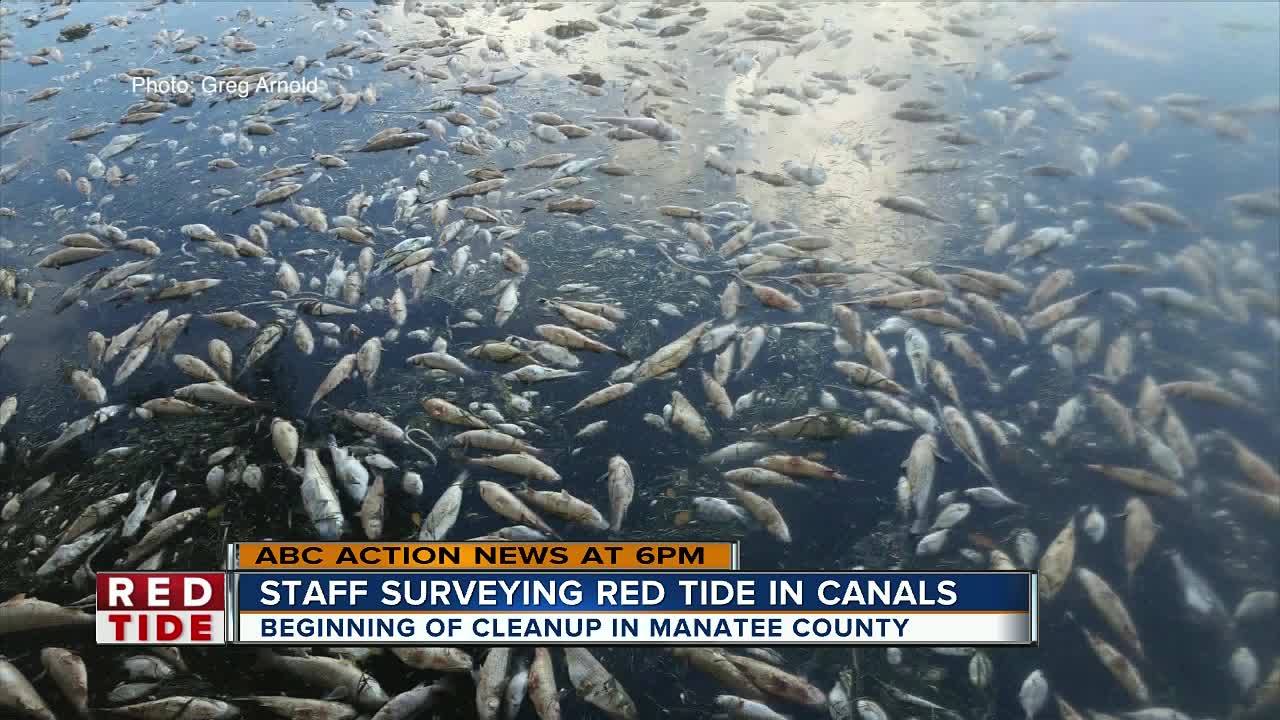 Manatee County plan for red tide clean-up