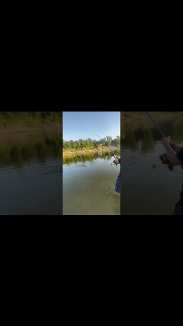 It’s a BIG Fish! #fishing