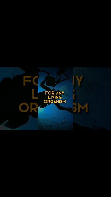 Discover the Hidden World 1000 Bars Underwater