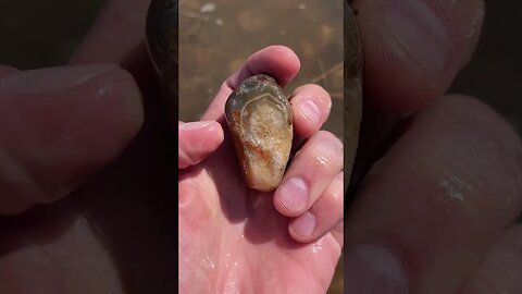 I found an AGATE in pile of rocks!