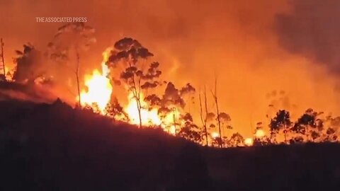 Fire in Ecuador scorches nearly 4,000 hectares of forest and grasslands