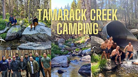 Camping with The Boys - Tamarack Creek, CA