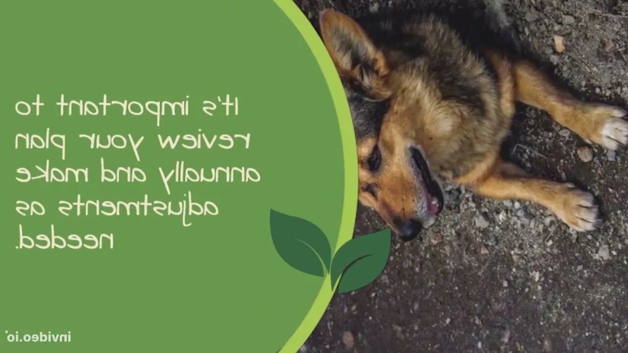 Health Insurance yihaa #Part 2