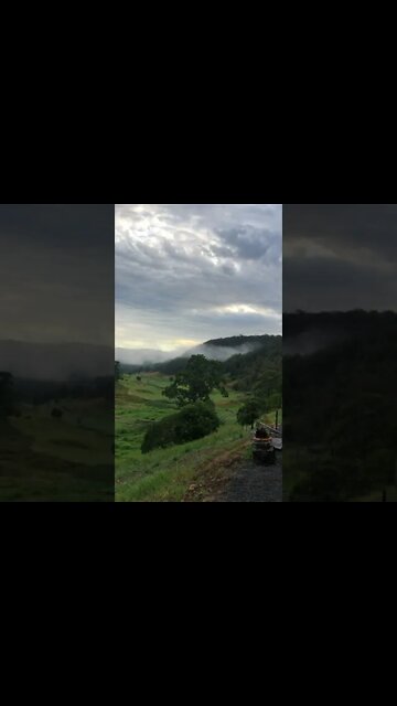 Good morning from paradise