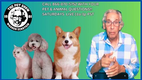 The Pet Show Update 9 15 23