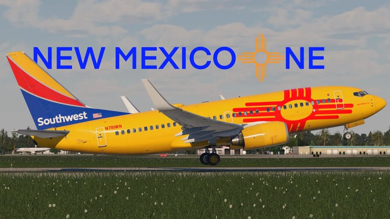 Flying on the NEW MEXICO ONE! (and spotting the freedom one) Southwest Airlines Flight