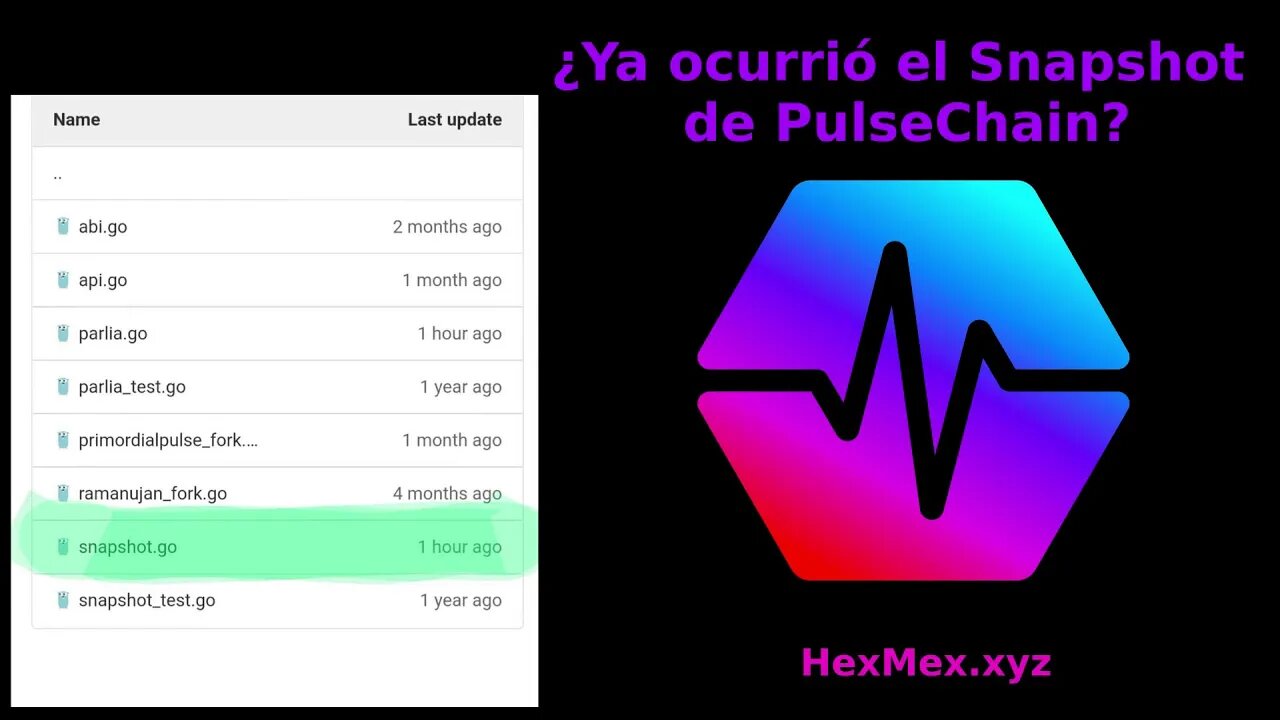 ¿Ya ocurrió el Snapshot de PulseChain?