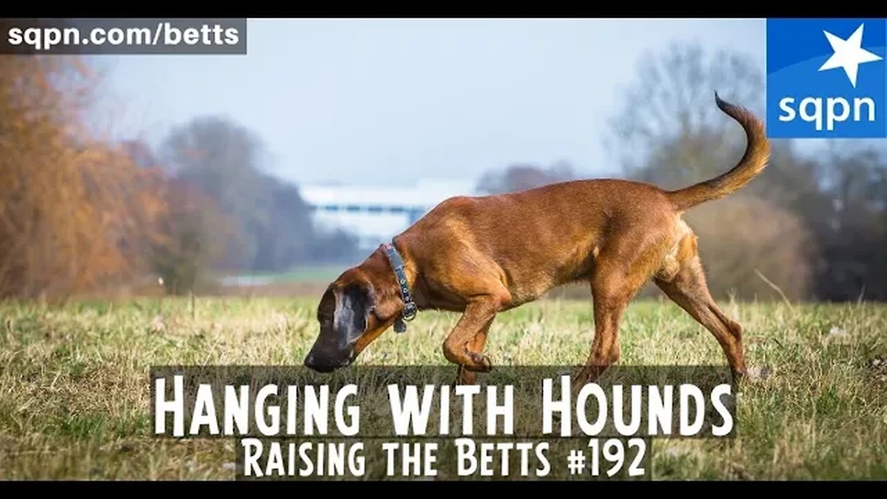 Hanging with Hounds - Raising the Betts