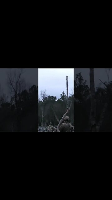 Can You Call In a Wood Duck?