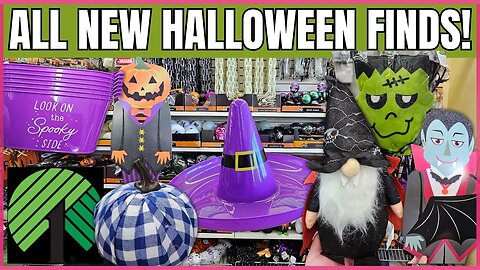 IS DOLLAR TREE GOING BACK TO EVERYTHING BEING $1.00?! | All New HALLOWEEN FINDS | #dollartree