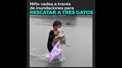 Un niño rescata a tres gatos en medio de gran inundación en Malasia