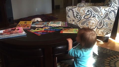 Peekaboo Pup Plays With Toddler