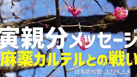 寅親分の声明🐯麻薬組織との戦いを宣言～1月8日 [日本語朗読]050108