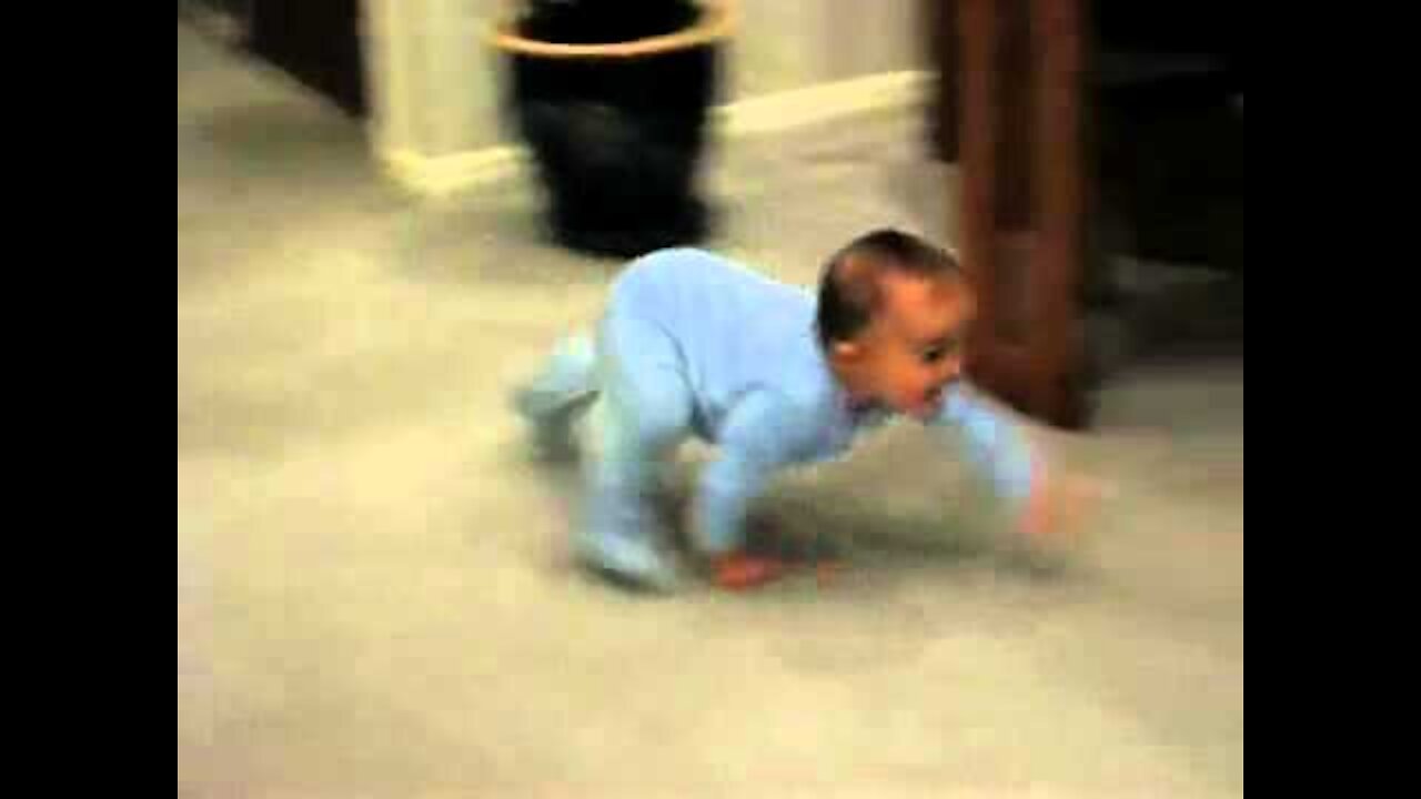 Funny Fast Baby Crawl Funny Video