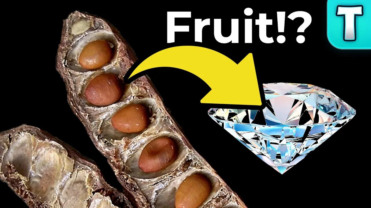 Diamond Carat Comes from a Fruit | Carob Fruit | Fruits You've Never Heard Of