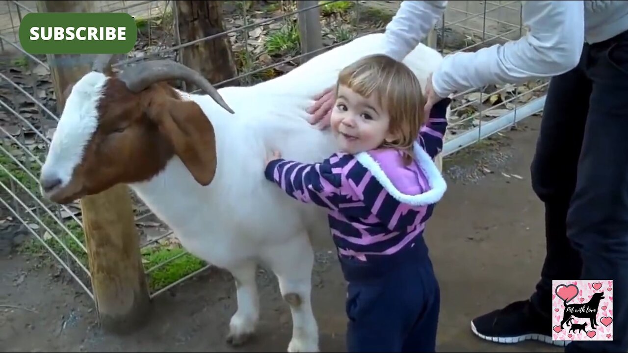 Fun animal outdoor😆