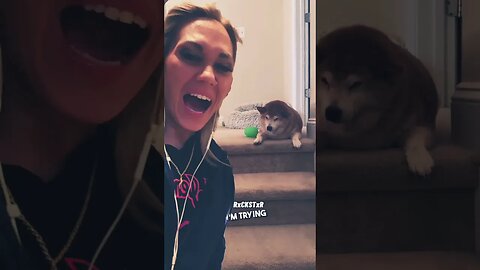 THESE VOICEOVERS ARE PURE GOLD @rxckstxr 😂 #shortsvideo #trending #voiceover #comedy #dogs #lol