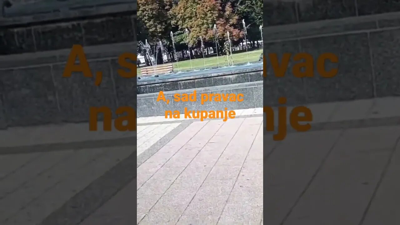 pticiji summer week