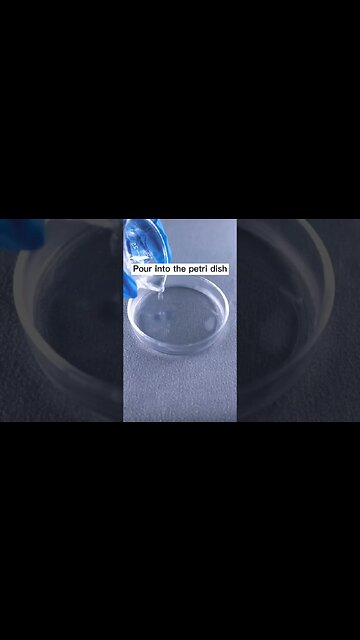 Quanta Aulas Online +5547996442089 +351965823710 #experimento #fisica #aulasonline #homeschooling